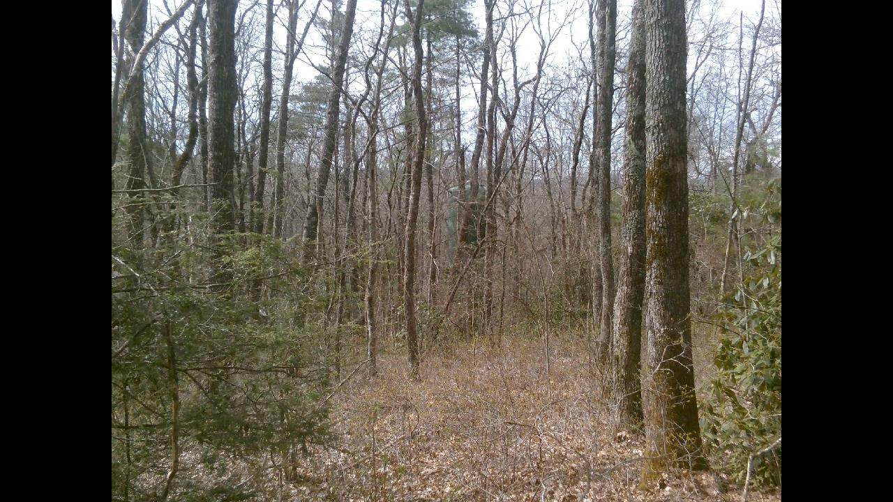 0 Cowee Mount - Photo 1