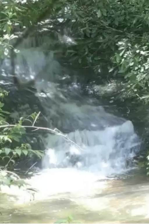 196 Wild Berry - Photo 1