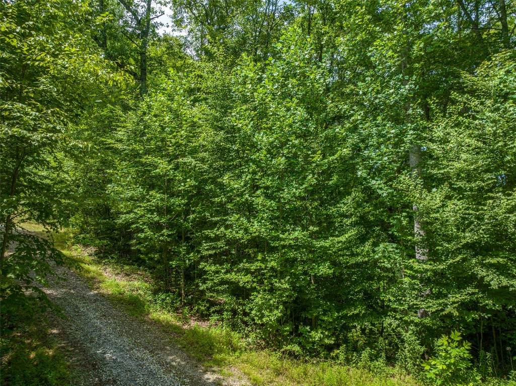 13-15 Tall Cedars - Photo 1