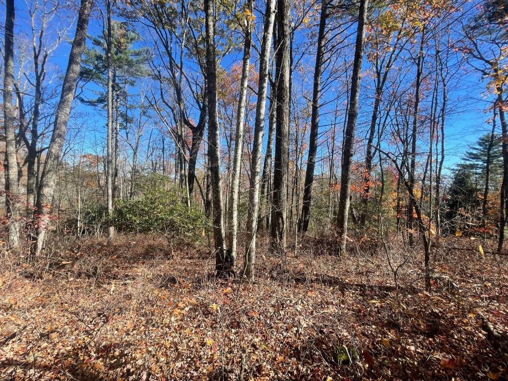 E-149 High Mountain Drive - Photo 1