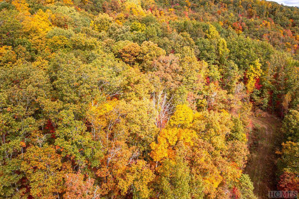 36 Lowland Glade - Photo 1