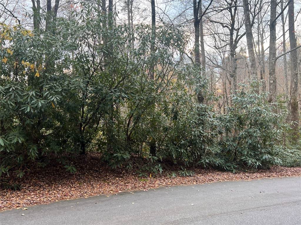 72 Hickory Drive - Photo 1