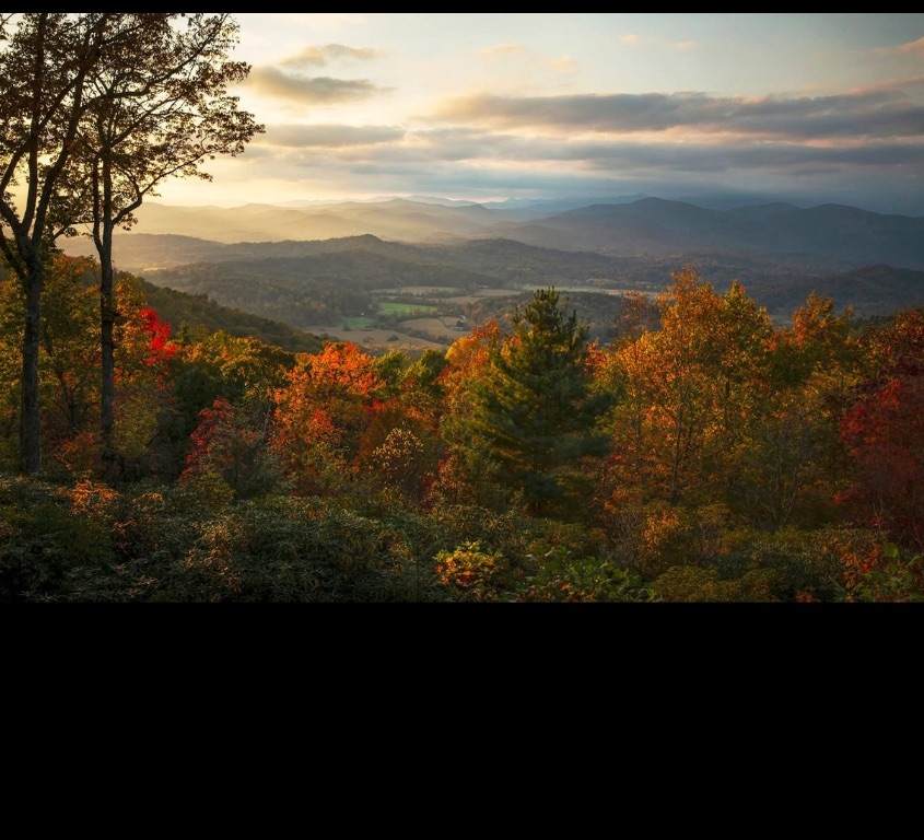 658 Johnson Road - Photo 1