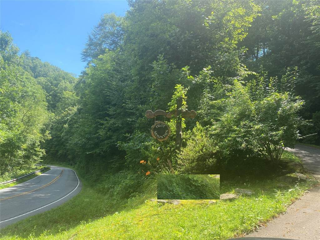 76 Parachute Ridge - Photo 1