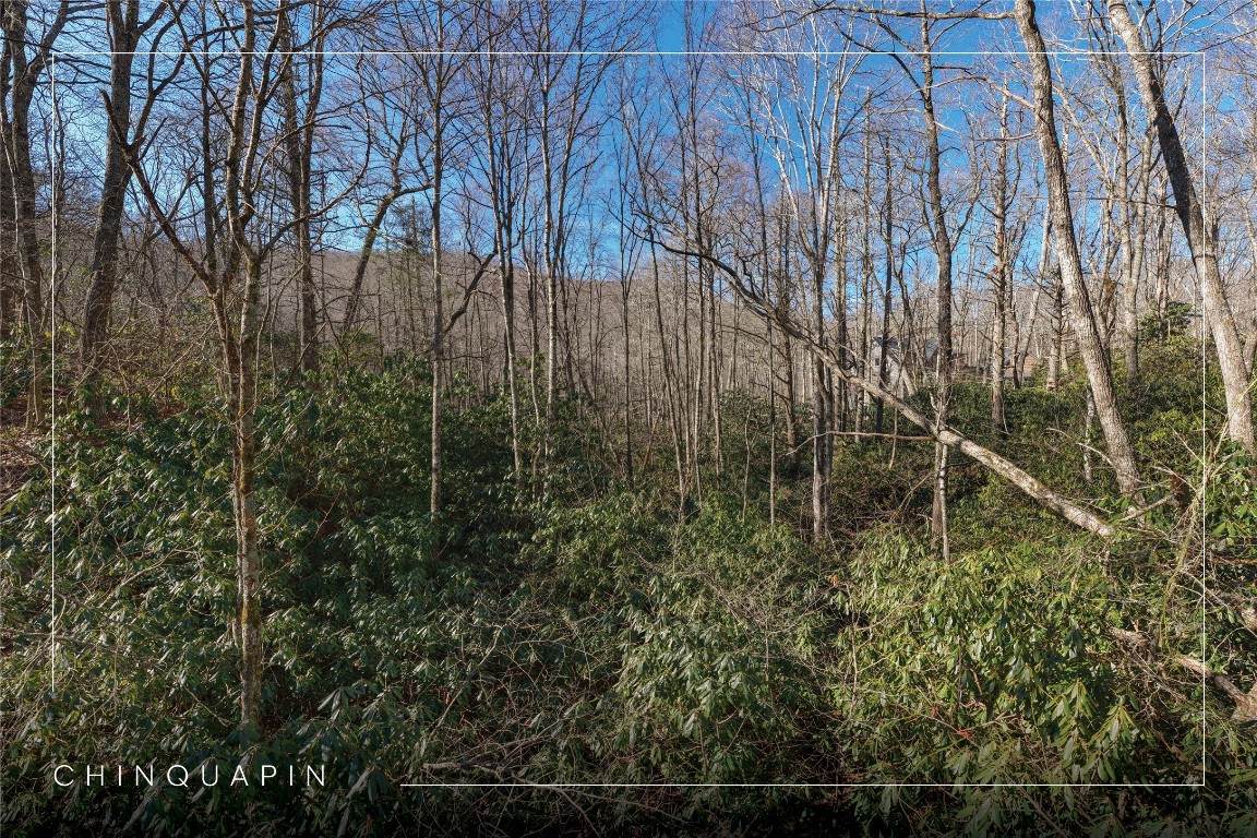 Lot 17 New Settler's Way - Photo 1