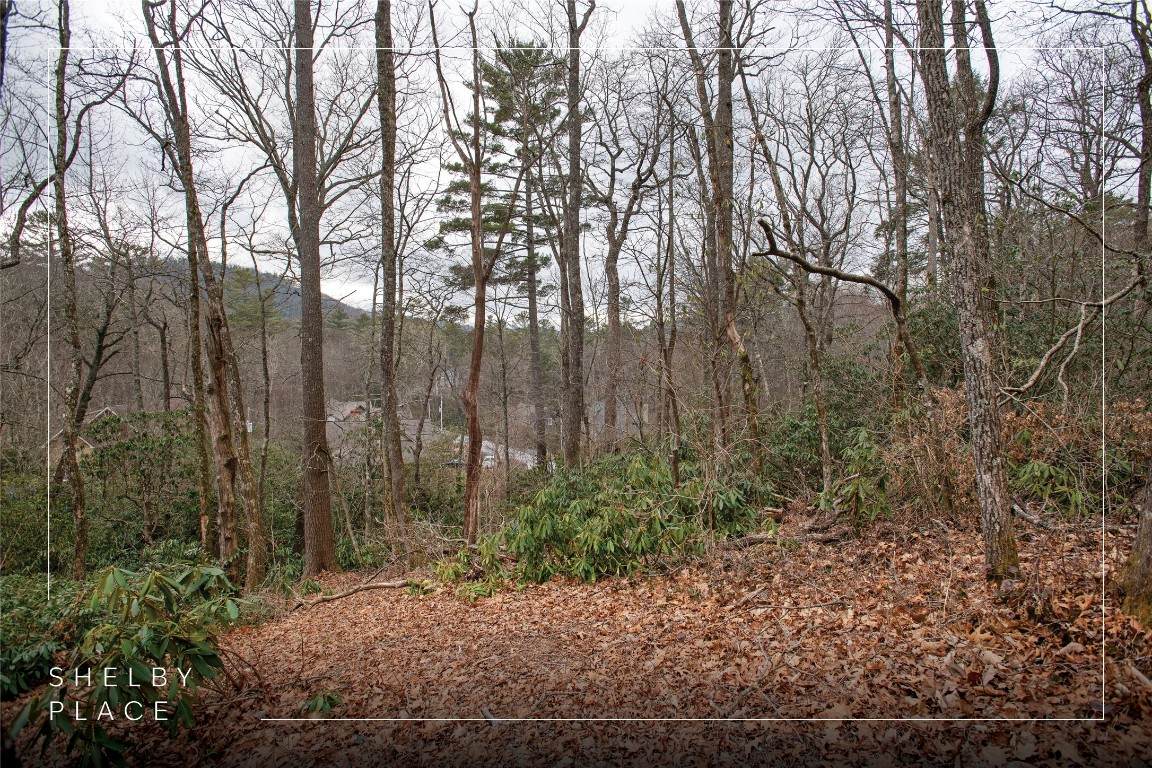 79/80 Shelby Circle - Photo 1