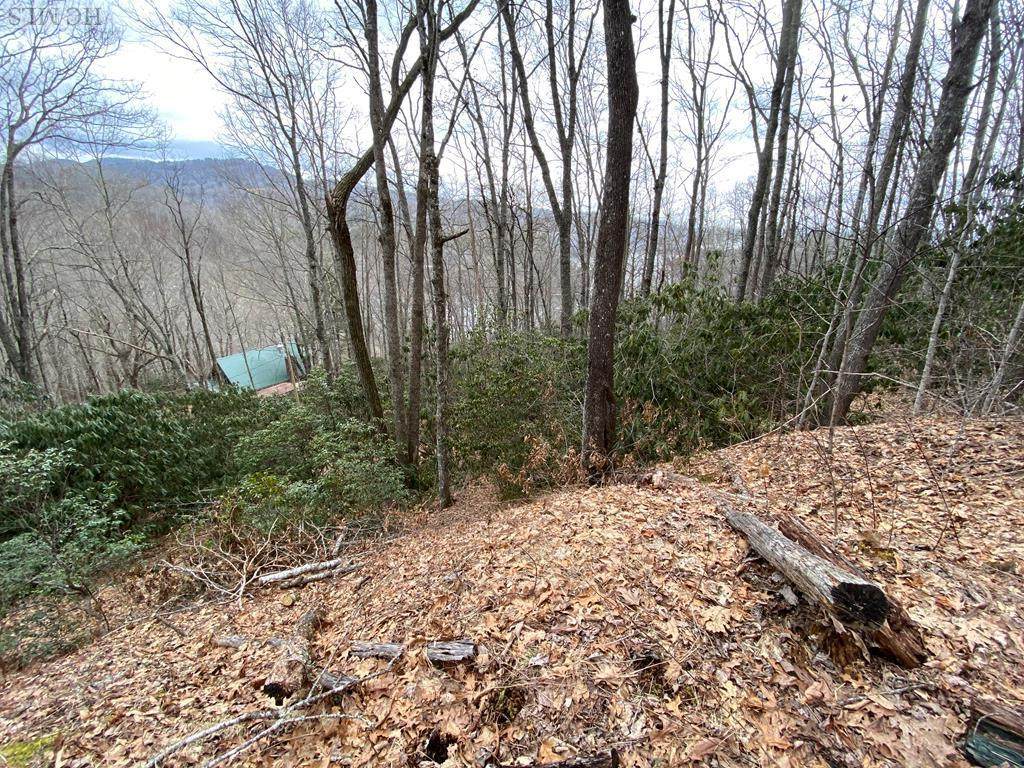 Lot 47 Bright Mountain Road - Photo 1