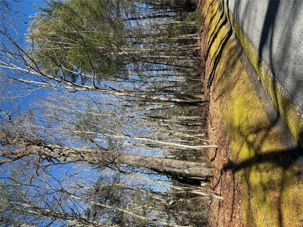 S-10 Cherokee Trace - Photo 1