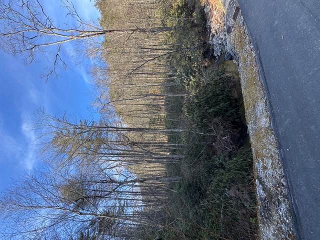 7 Wandering Ridge - Photo 1