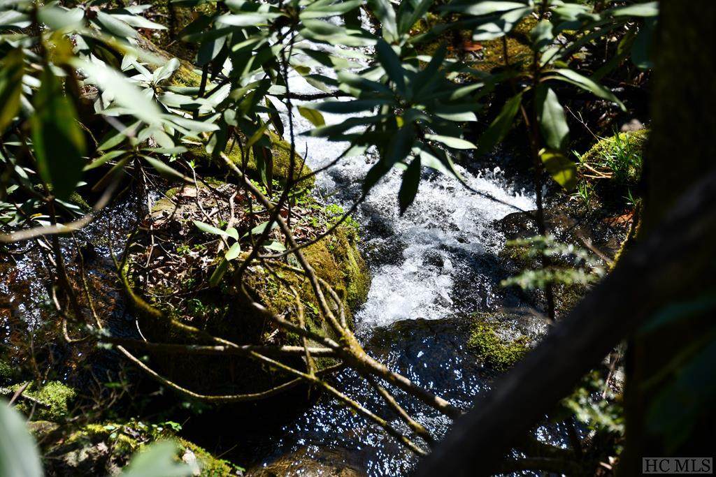 none Highland Gap Road - Photo 1