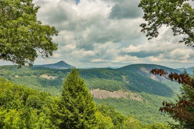 815 Ravenel Ridge Road - Photo 1