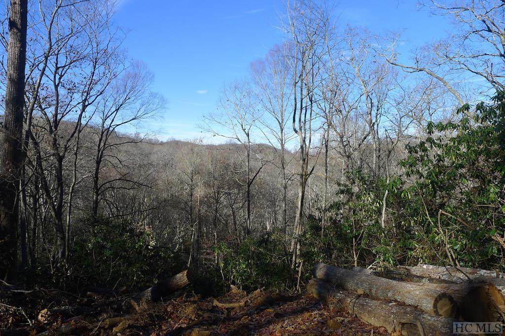 000 Walnut Gap Road - Photo 1