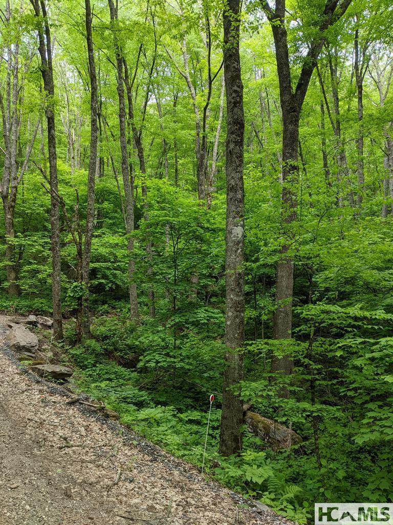 0 Buck Knob Road - Photo 1