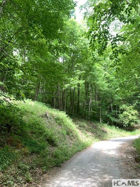0 Little Ellijay Road - Photo 1