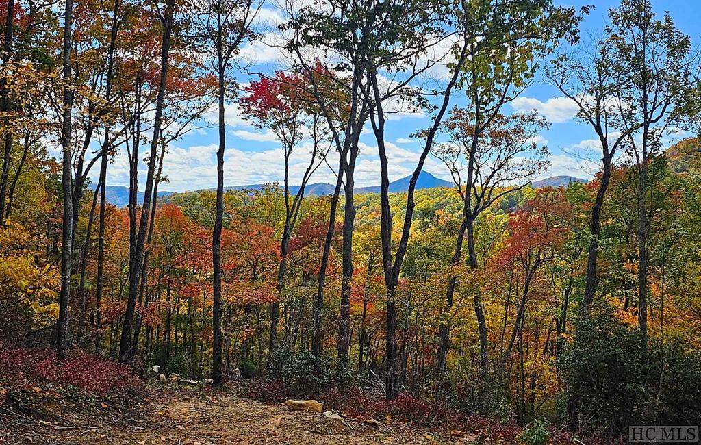 Lot 35 Hidden Grouse Lane - Photo 1