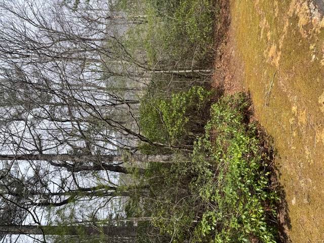 72 Big Pine Road - Photo 1