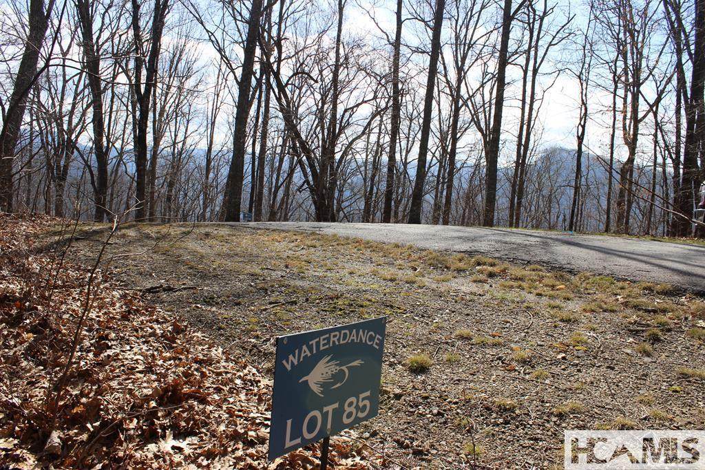 Lot 85 Waterdance Drive - Photo 1