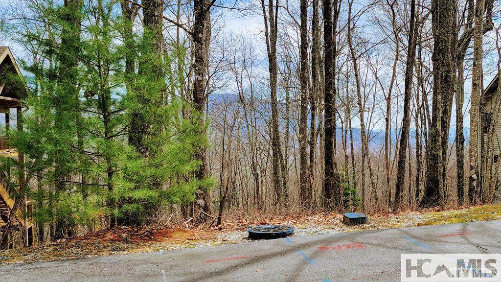 Lot 29 Flyaway Circle - Photo 1