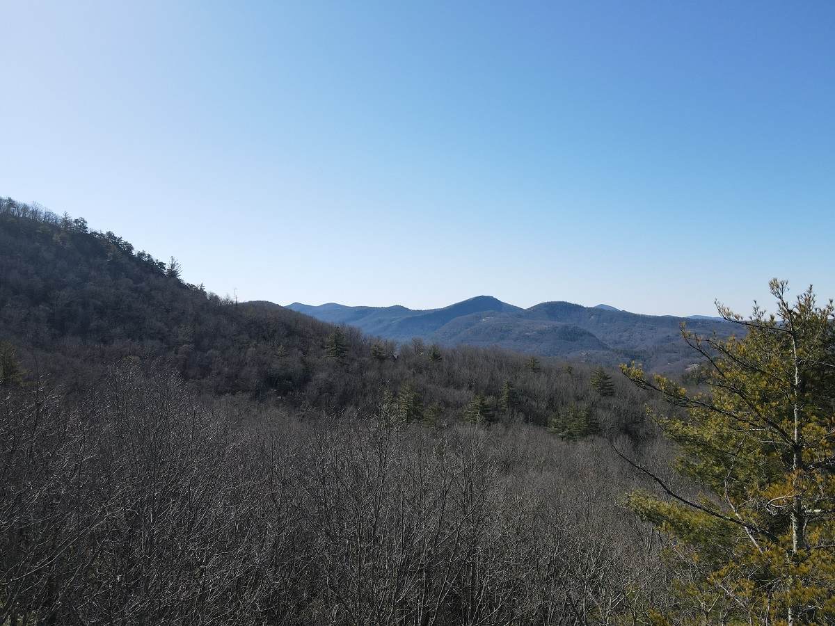 SR 112 Breedlove Road - Photo 1