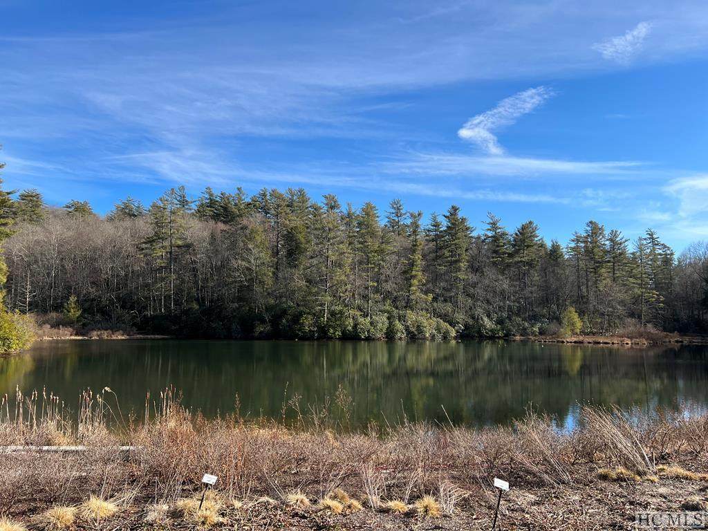 176 Lower Lake Road - Photo 1