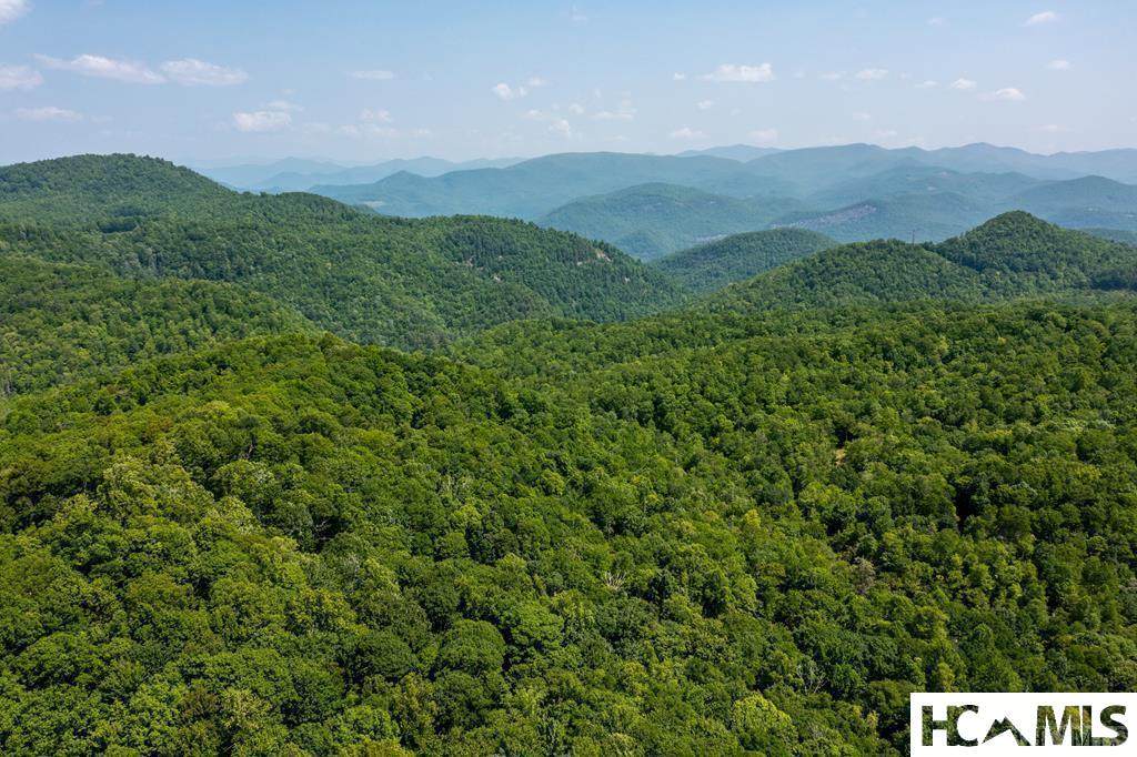 2572 Great Falls Drive - Photo 1