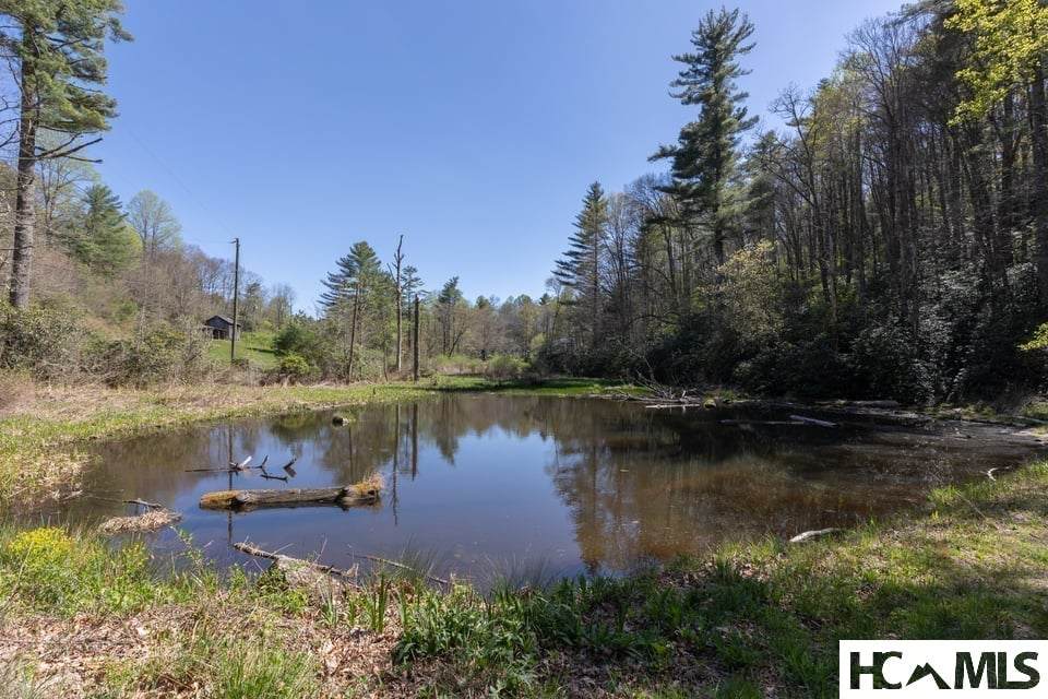 4419 Flat Mountain Road - Photo 1