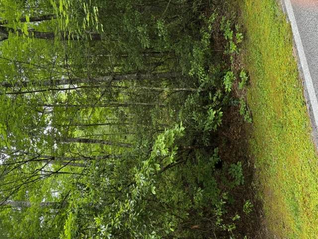 47B Big Pine Road - Photo 1