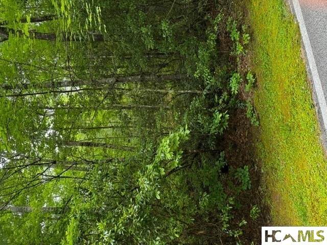 48B Big Pine Road - Photo 1