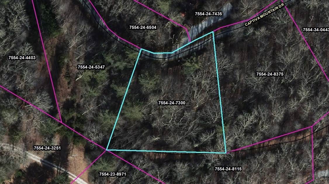 12 Captiva Mountain Drive - Photo 1