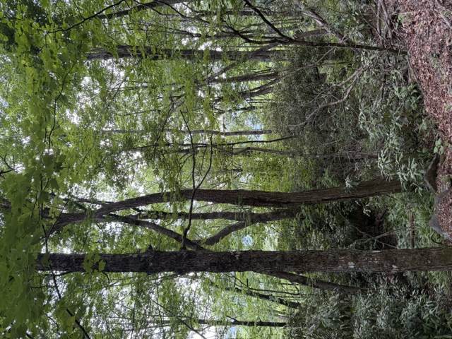 https://bt-photos.global.ssl.fastly.net/hcbor/orig_boomver_1_1003591-2.jpg