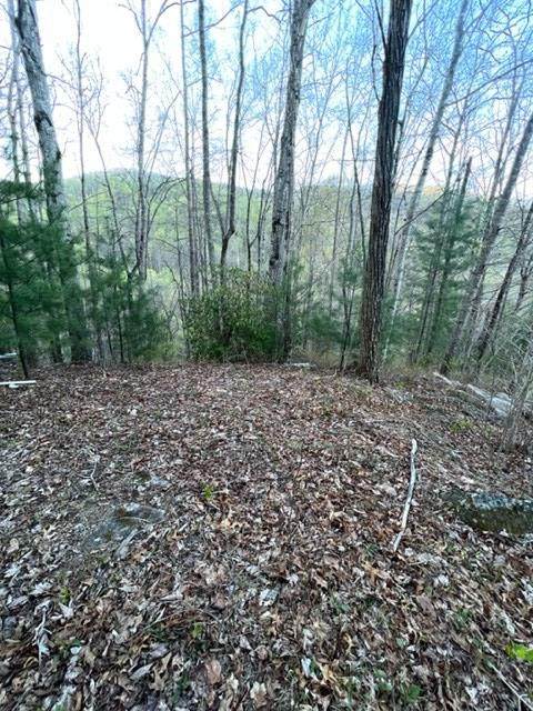 00 Glennview Lane - Photo 1