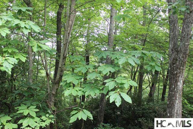 16 Whitewater Ridge Road - Photo 1