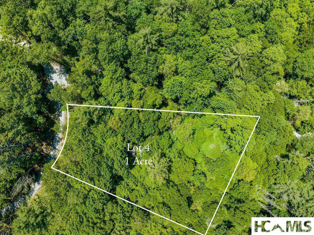 Lot 4 Big Bear Pen Road - Photo 1