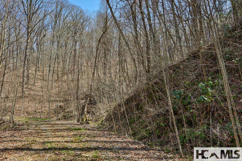 TBD Bearwood Dr. - Photo 1
