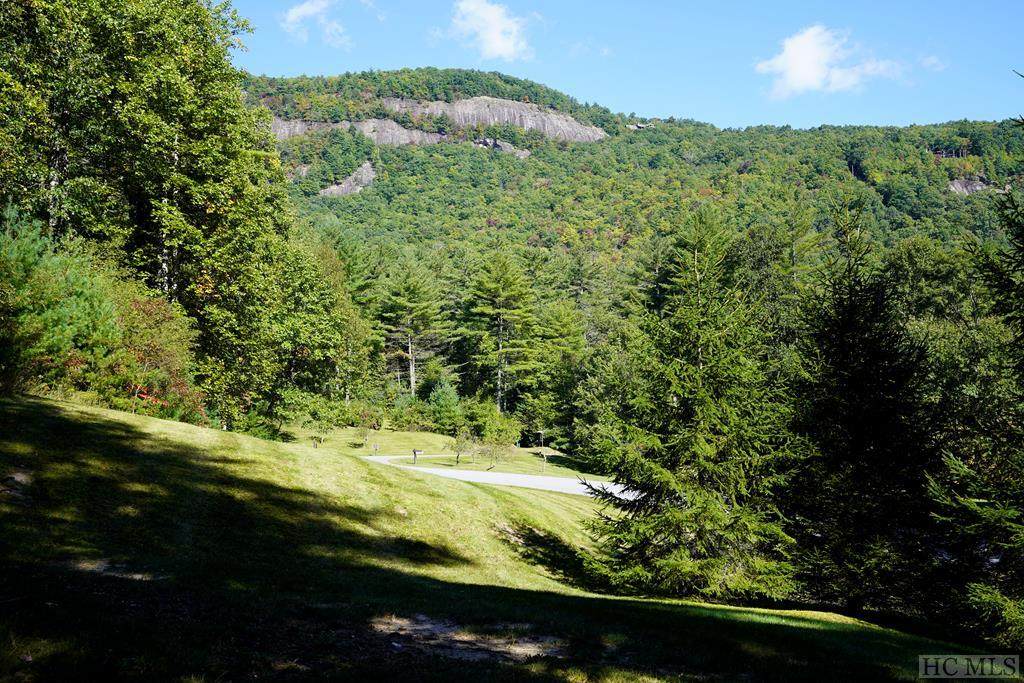 L177 Lonesome Valley Road - Photo 1