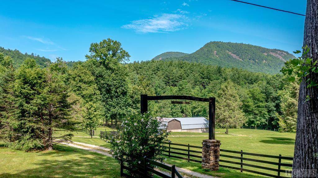 1375 Walkingstick Road - Photo 1