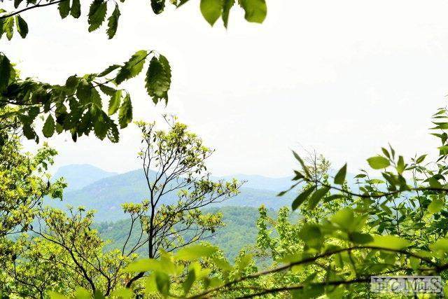 Lot 48 Falcon Ridge Road - Photo 1