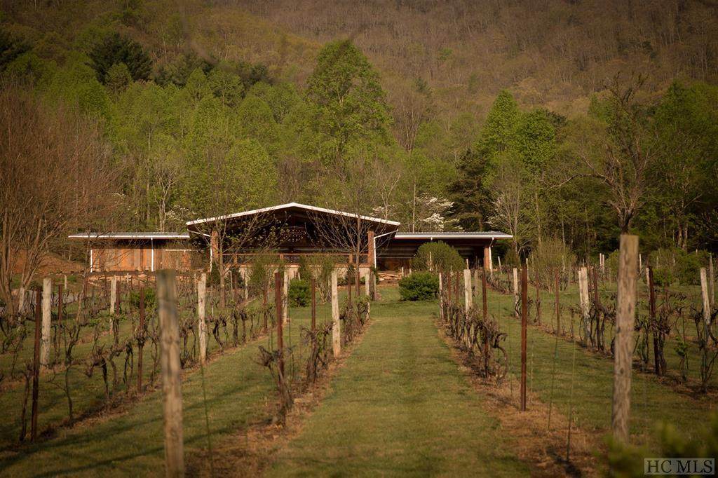 10 Vineyard Lane - Photo 1