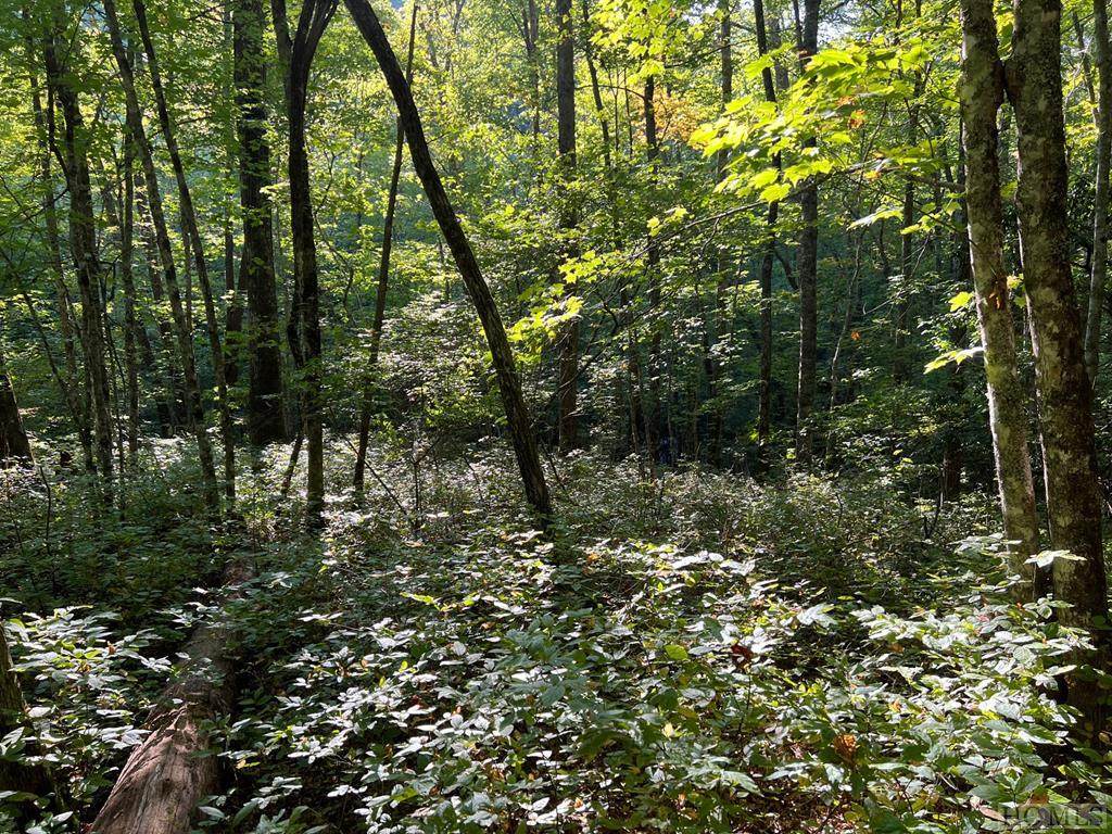 Lot H140 Great Falls Drive - Photo 1