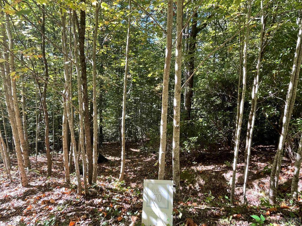 Lot 70 Stony Cove - Photo 1