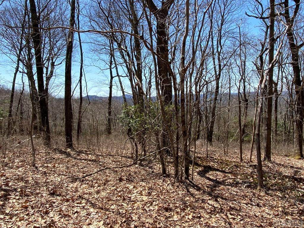 Lot 17 Raptor Way - Photo 1