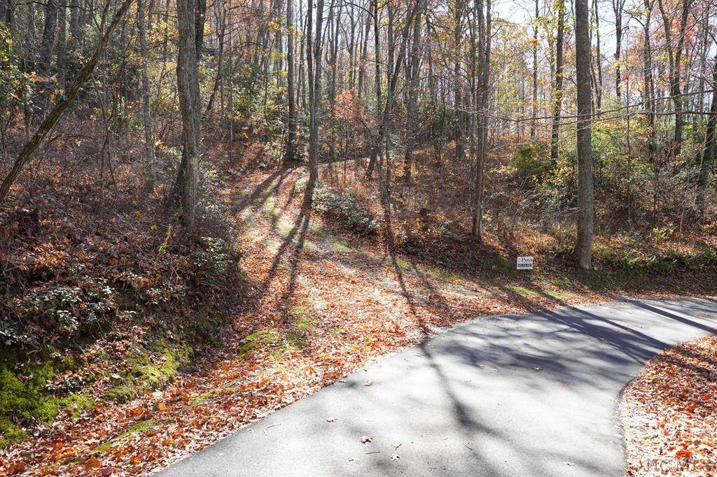 none Silly Ridge Road - Photo 1