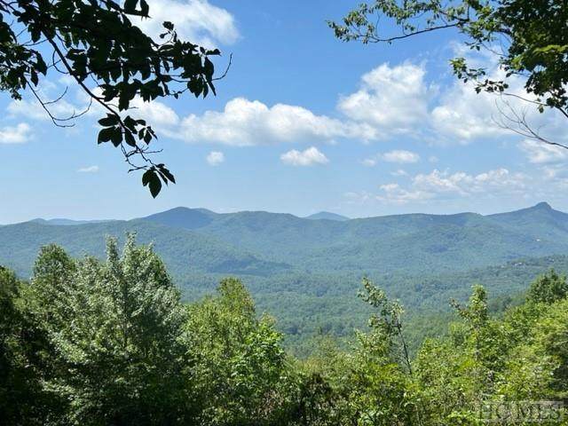 Lot 40 White Tail Drive - Photo 1