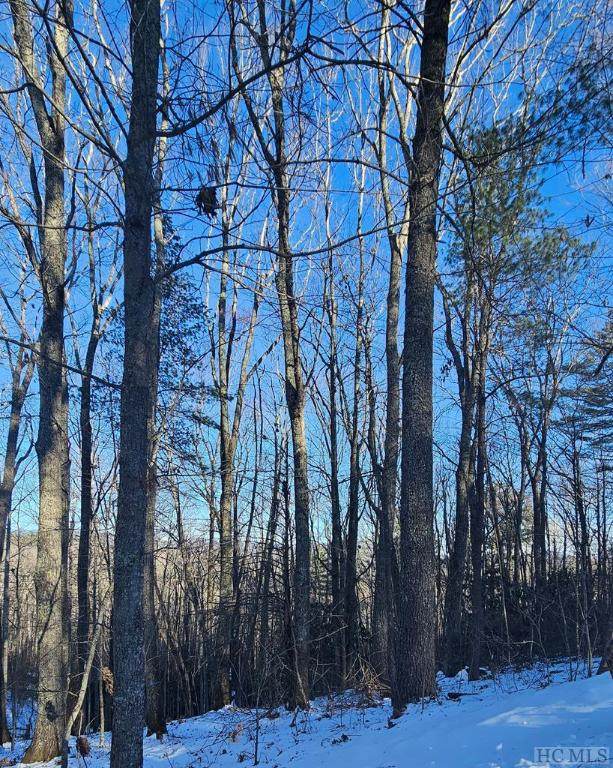 18 Piney Knob Trail - Photo 1