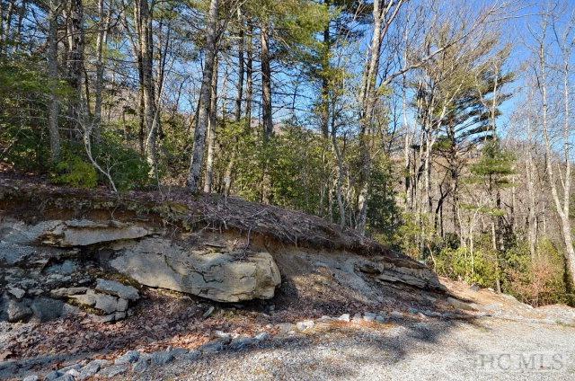 Lot 36 Tomba Way - Photo 1