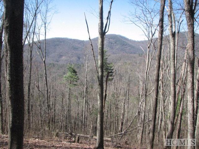 Lot 10 Historic Highlands Drive - Photo 1