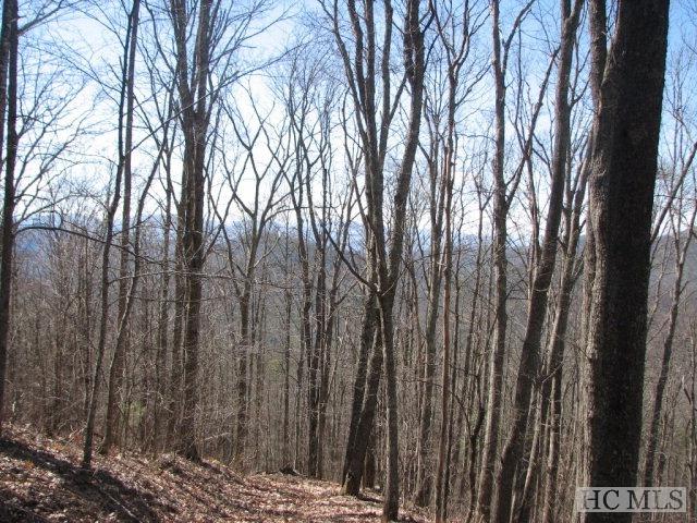 Lot 1 Historic Highlands Drive - Photo 1