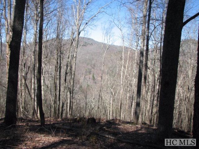 Lot 8 Historic Highlands Drive - Photo 1