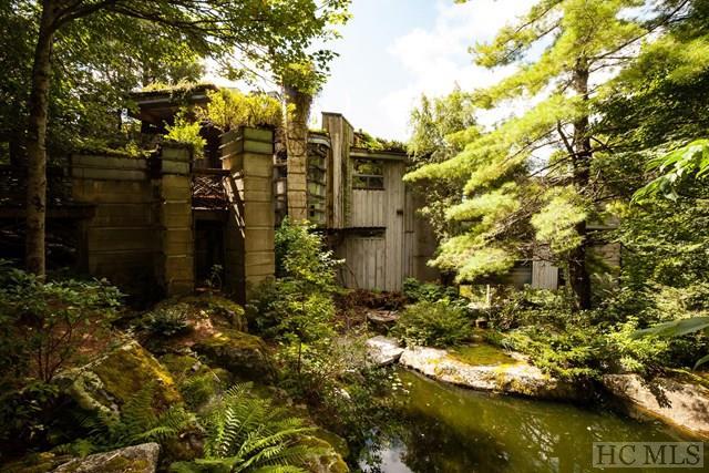 1350 Whiteside Mountain Road - Photo 1