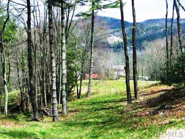 Lot 4 The Point At Lake Glenville - Photo 1